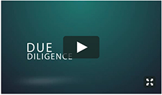 Due Diligence